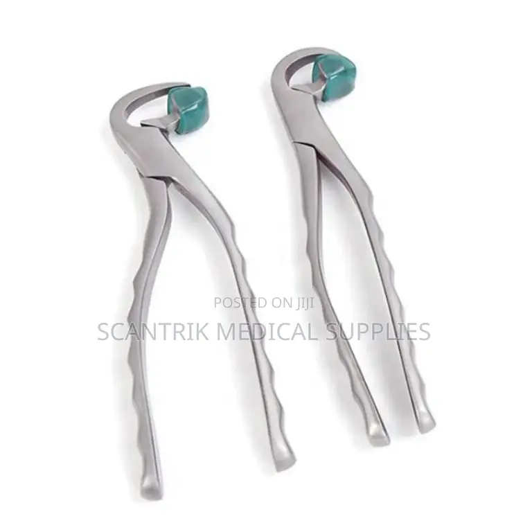 Autoclavable Tooth Forceps