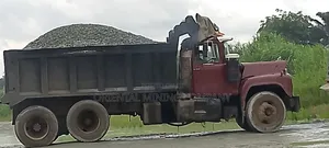 Iron Black Chippings and Granite From China Oriental