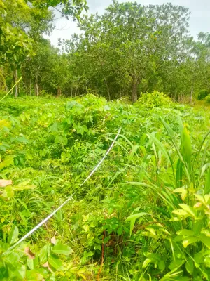 Geophysical Survey for Borehole