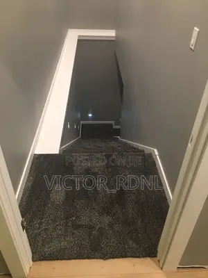 High Quality European Rug