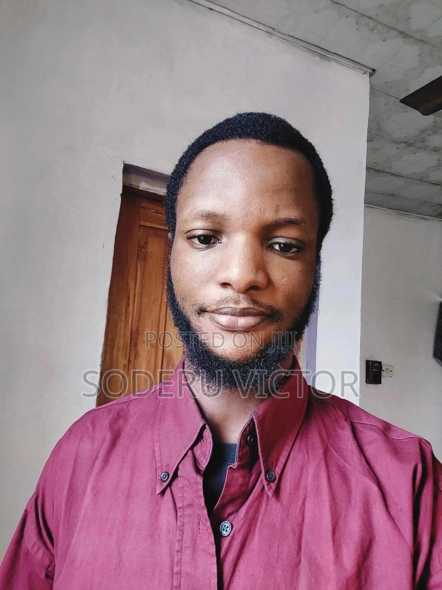 Content Writer and Programmer