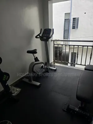 Commercial Recumbent Bike