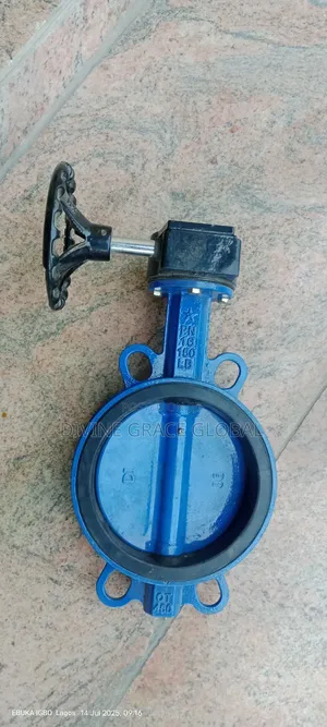 Butterfly Valve S/S 6inches