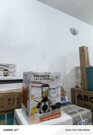 Perfect for Home Use – Polystar Pv-Bl509g 2-in-1 Blender