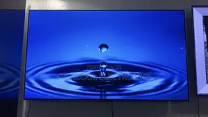 Premium 55” Lg Oled Evo G1 Smart Tv With Nvidia G-Sync Amd