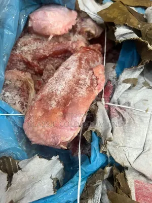 Turkey Wings Medium Size Best Price in Carton or Kilo