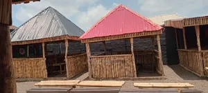 Roof Carpenter