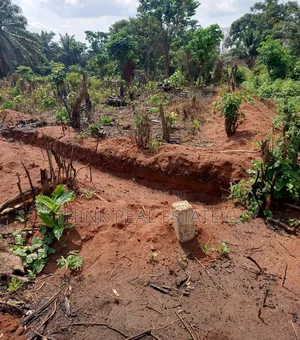 50/100 Land at Ekowe,Ekiadolor,Benin City for Net Price