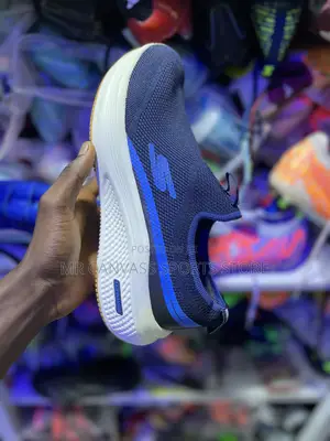 Skechers Canvass