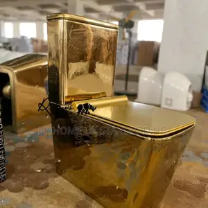 Toilet Seat Gold With Basin and Pedestria