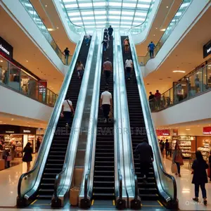 Safe Escalators for – Smooth, Secure Mobility