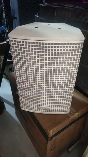 Coaxial 10" Speaker Signature