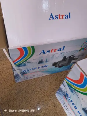 Hot Sales Astral Swimming Pool Pump