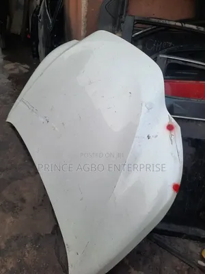 Lexus Bonnet Nx 200t 2024 Model