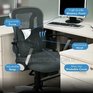Lumbar Back Pillow
