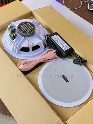2in1 Bluetooth Ceiling/Pop Speakers