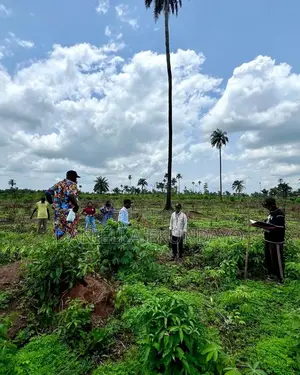 Oluku Bypass