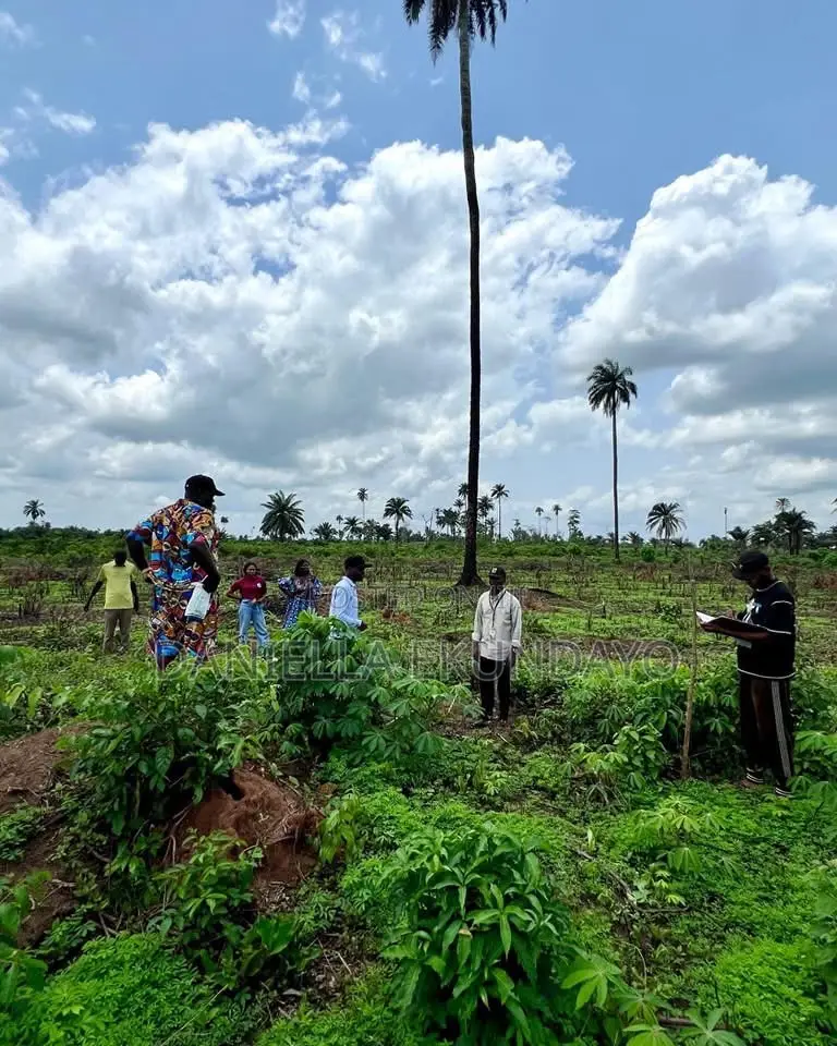 Oluku Bypass