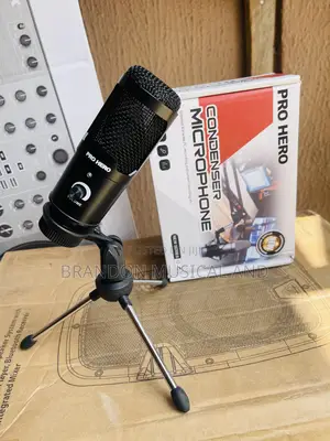 Professional Podcast Microphone