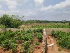 70 Plots of Land at Ibara Orile Abeokuta Ogun State