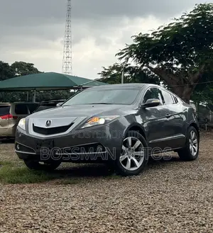 Photo - Acura ZDX Base AWD 2011 Gray