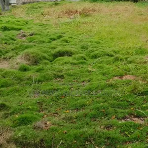 A Small Land of 200sqm Available