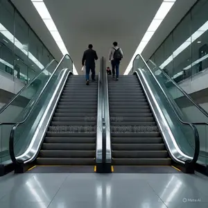 High-Quality Withstand Heavy Escalators Passenger