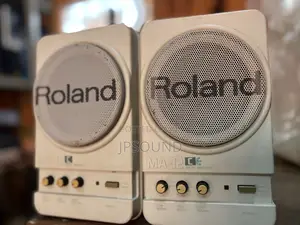Powered Power London Use Roland Studio Monitor