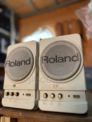 Powered Power London Use Roland Studio Monitor