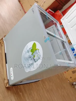 168l Bona Solar Freezer