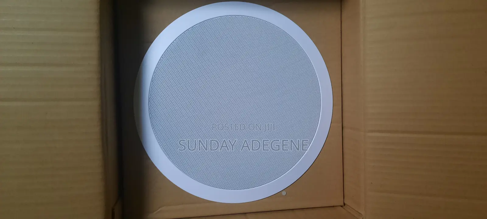 Ceiling Speaker (American Spec)