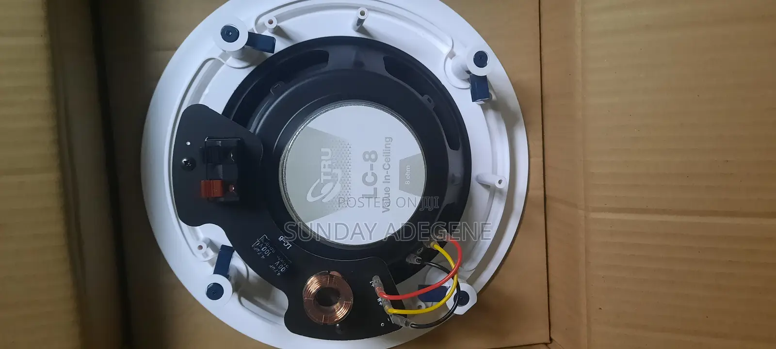 Ceiling Speaker (American Spec)