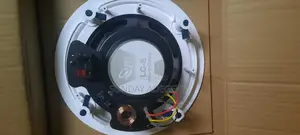 Ceiling Speaker (American Spec)