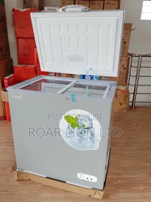 168l Bona Solar Freezer