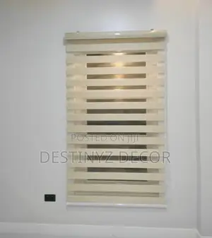 Plain Window Blinds