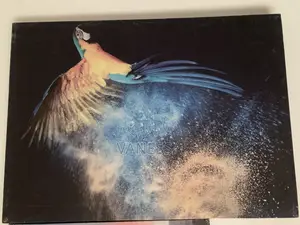 Beautiful Painting