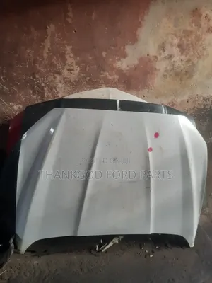 Bonnet Ford Fusion 2013/2014/2015/2016/2017/2018/2020