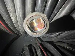 Photo - 16mmx4core Armored Cable