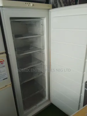 Standing Freezer for Block or Business