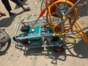 6,5hp Gasoline Sprayer With 50meters Hose