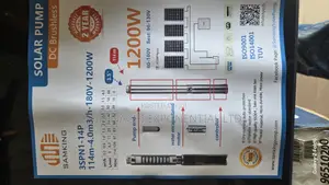 1,200 Wats Samking Dc Solar Submersible Pump