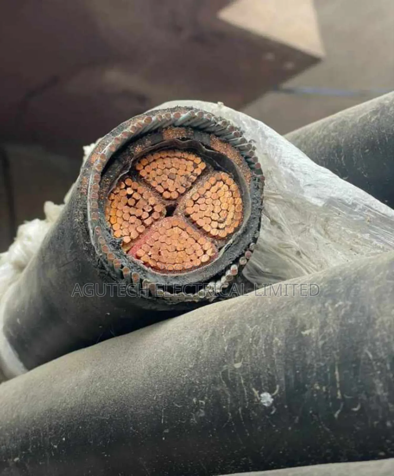 Armored Cables