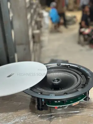 100watts Pop Ceiling Speaker