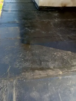 Serendipity Waterproofing Expert