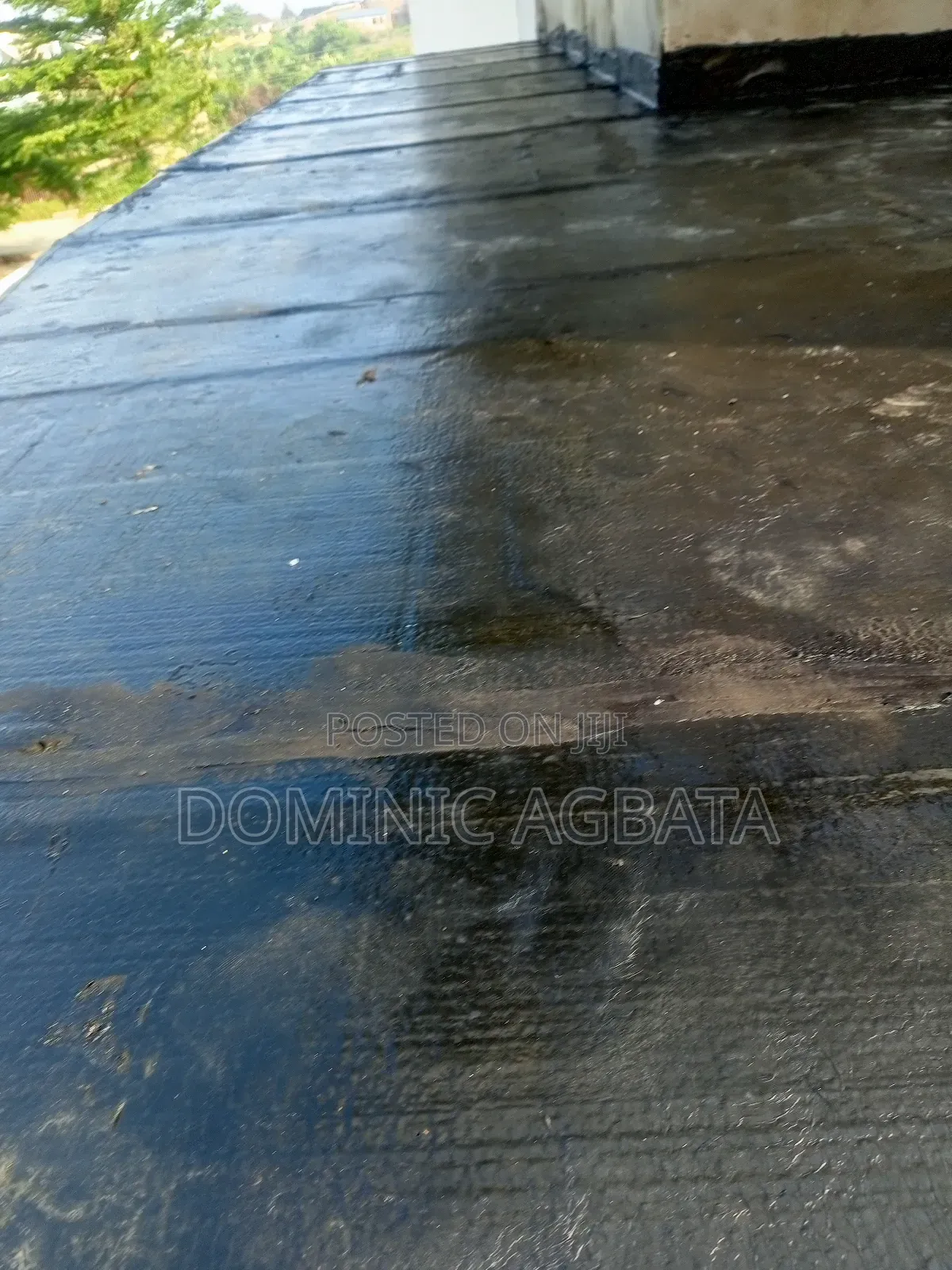 Serendipity Waterproofing Expert