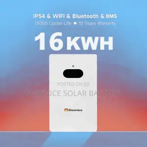 New 51.2v 314ah 16kwh Wall Mounted Lifepo4 Battery Can