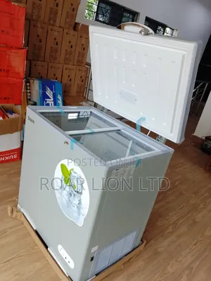 168l Bona Solar Freezer