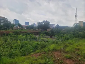 9250sqm Commercial Does Not Specify Land for Sale.