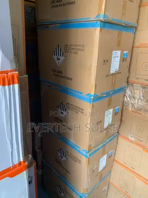 5kwhs 24v Cworth Lithium Ion Battery