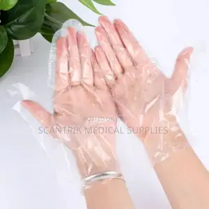 Disposable Transparent Nylon Gloves (Hdpe - 1000pcs)